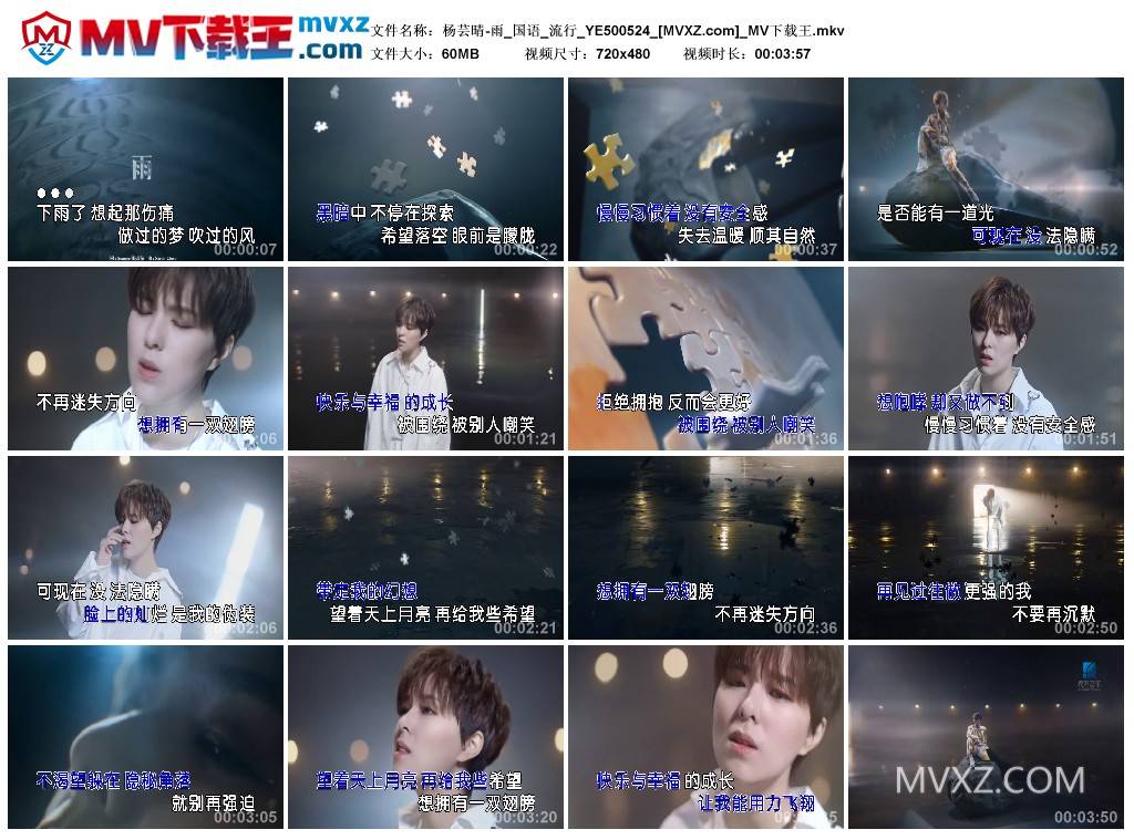 杨芸晴-雨_国语_流行_YE500524